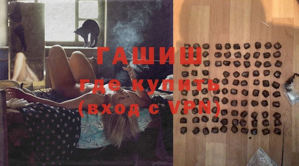 стаф Алзамай