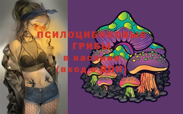бошки Алексин