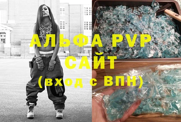 стаф Алзамай