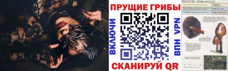 KRAKEN ТОР  Петушки  Галлюциногенные грибы мицелий 